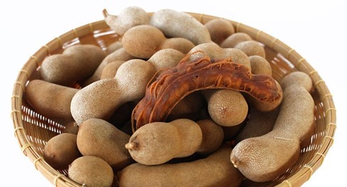 Facts about Tamarind
