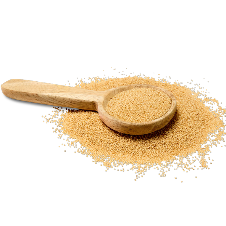 Ancient Grains - Sorghum