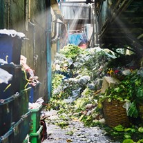 Cut Waste and Improve Profits